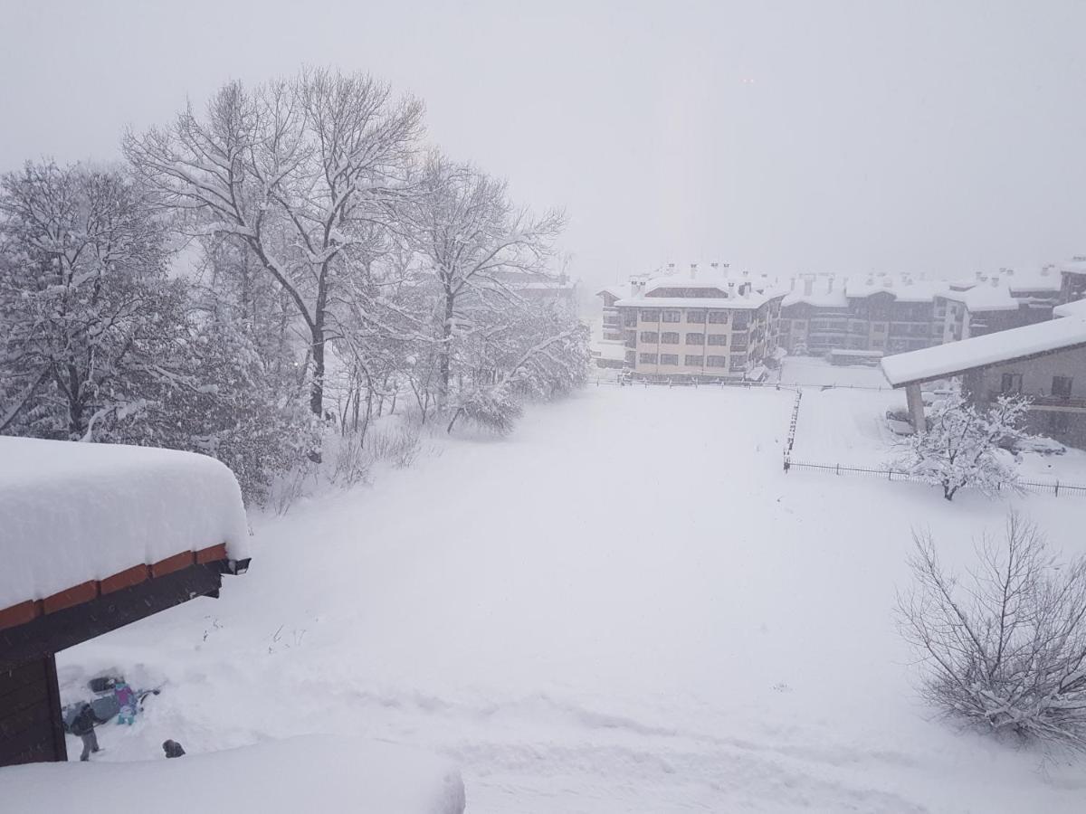 Mountain View Resort - Apartment B45 Μπάνσκο Εξωτερικό φωτογραφία